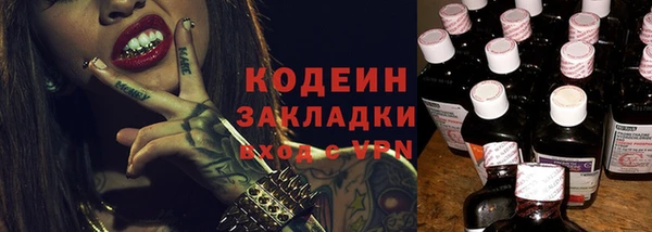 прущие грибы Вязьма