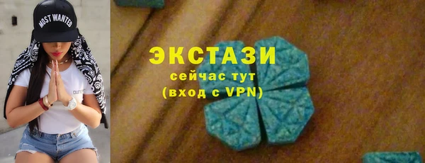 гашик Вяземский