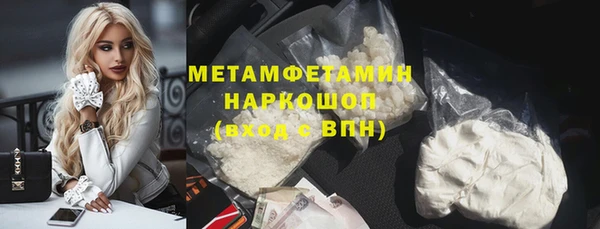 прущие грибы Вязьма