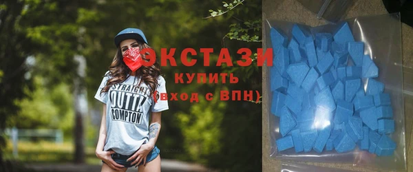 гашик Вяземский