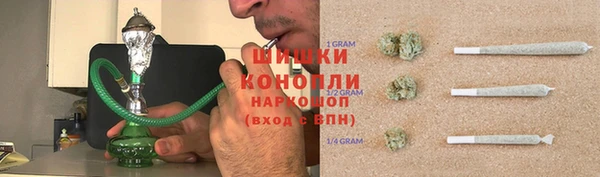 прущие грибы Вязьма