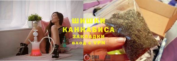 гашик Вяземский