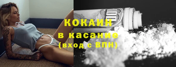 прущие грибы Вязьма
