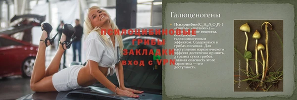 прущие грибы Вязьма