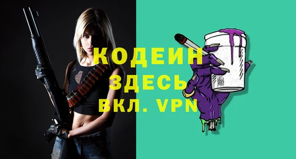 прущие грибы Вязьма