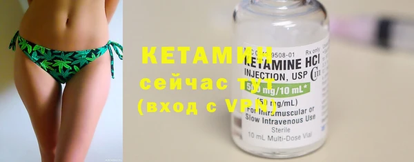 прущие грибы Вязьма