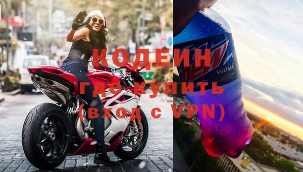 гашик Вяземский