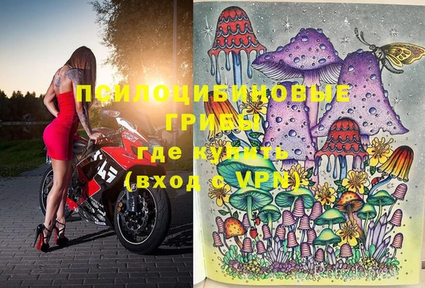прущие грибы Вязьма