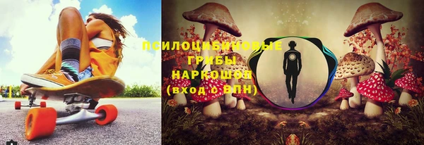 прущие грибы Вязьма