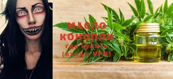 гашик Вяземский