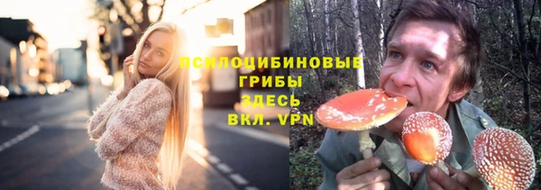 твердый Вязники
