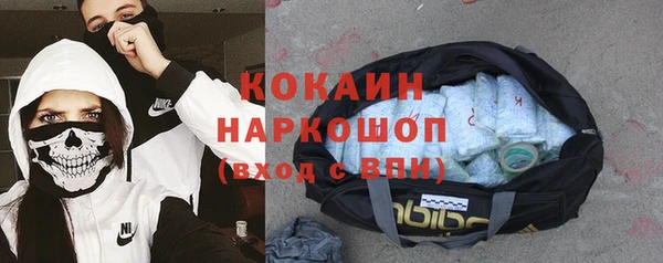 гашик Вяземский