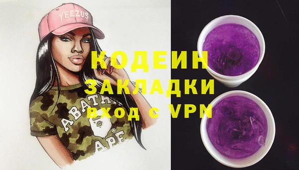 гашик Вяземский