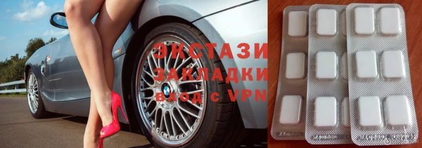 гашик Вяземский