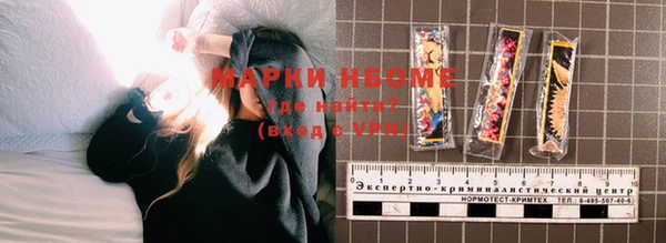 гашик Вяземский