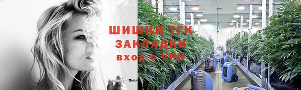 прущие грибы Вязьма