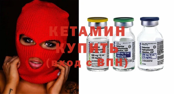 прущие грибы Вязьма